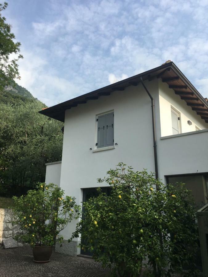 Millys Riva Apartments Dış mekan fotoğraf