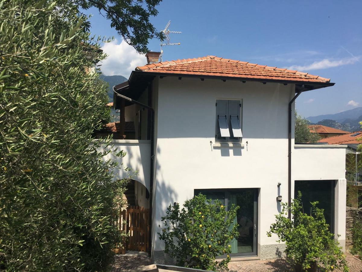 Millys Riva Apartments Dış mekan fotoğraf