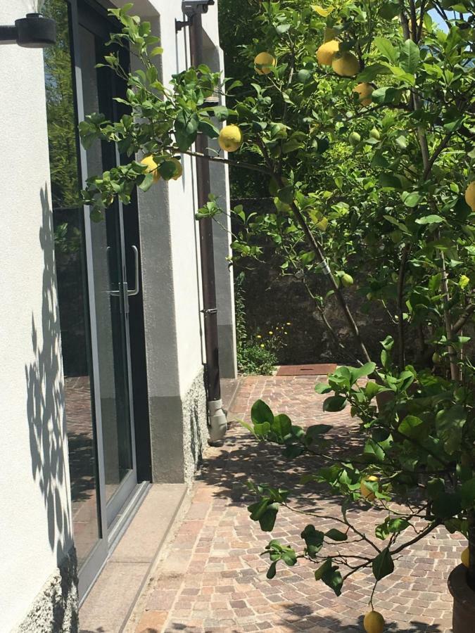 Millys Riva Apartments Dış mekan fotoğraf